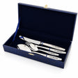 Silberbesteck Set 4 - teilig 925 Silber Astra Black