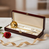 Suppenschöpfer 925 Silber vergoldet Astra Classic